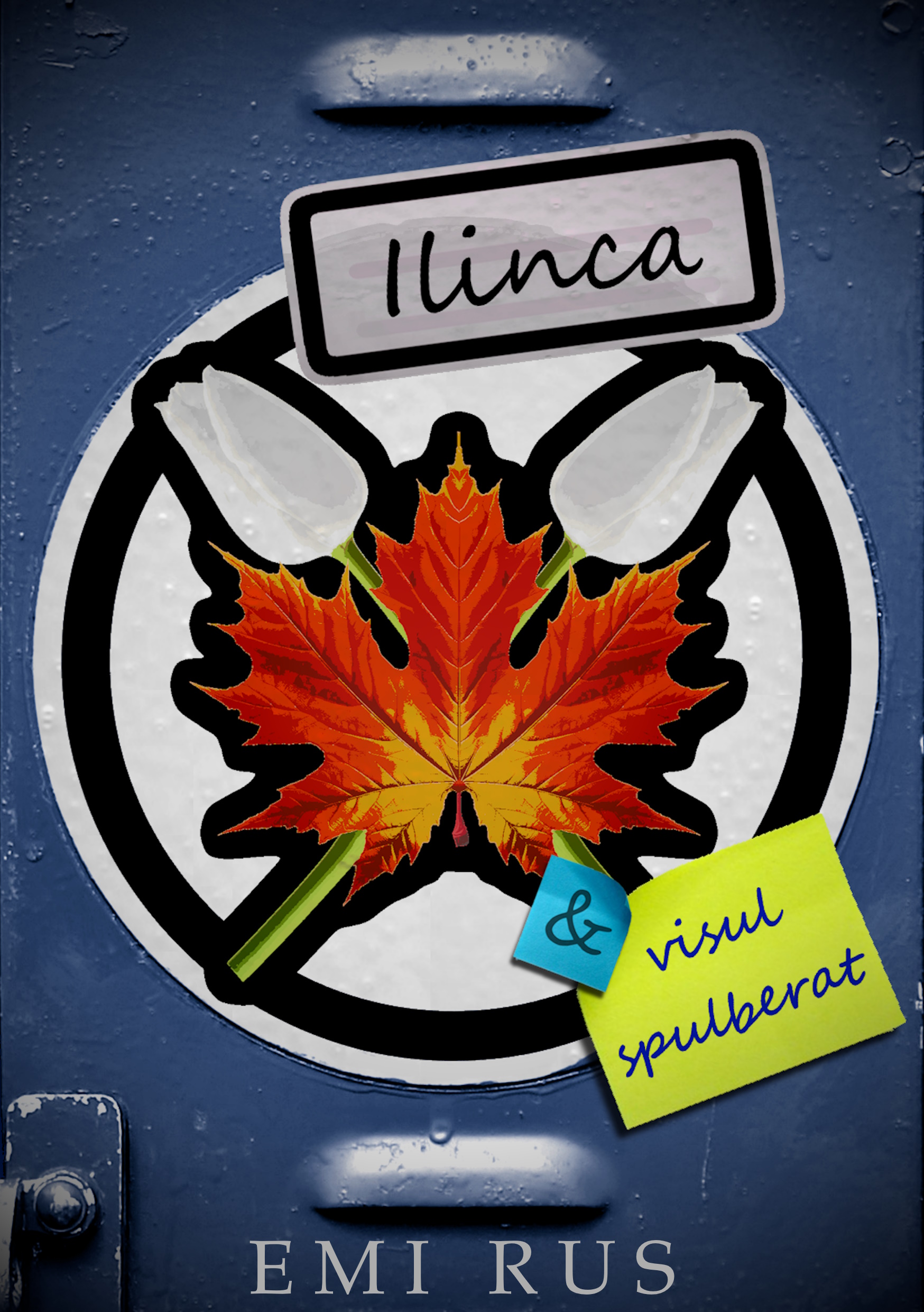 Ilinca — book cover
